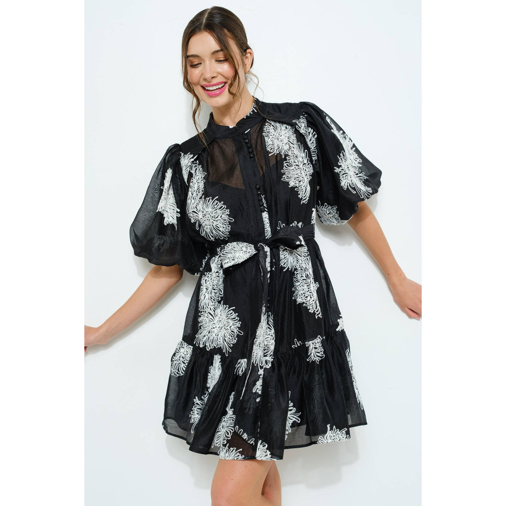 Embroidered Sheer Puff Sleeve Mini Dress