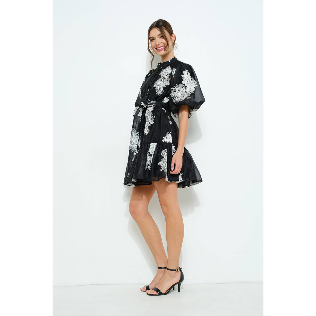 Embroidered Sheer Puff Sleeve Mini Dress