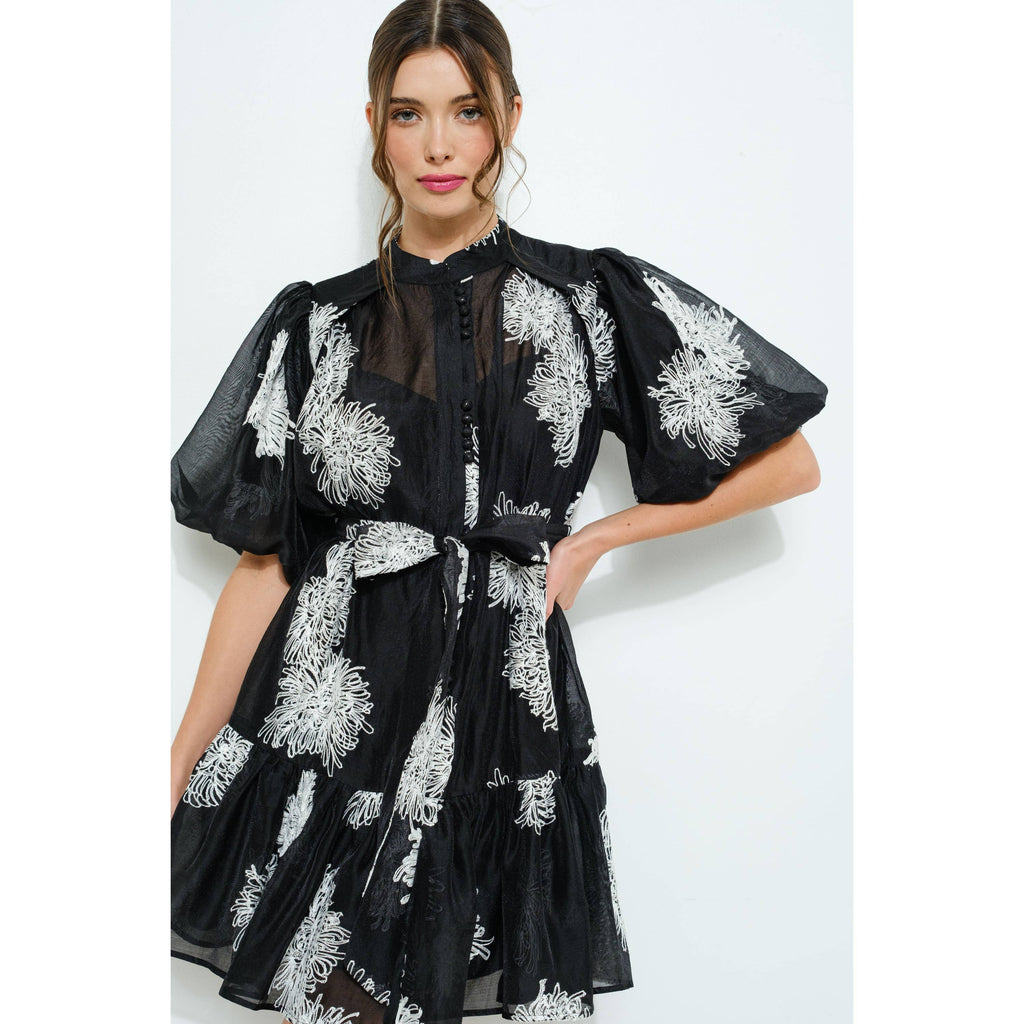 Embroidered Sheer Puff Sleeve Mini Dress