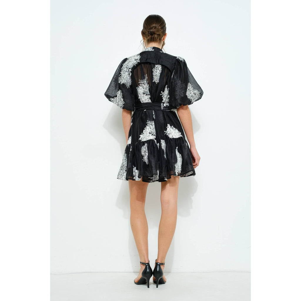 Embroidered Sheer Puff Sleeve Mini Dress