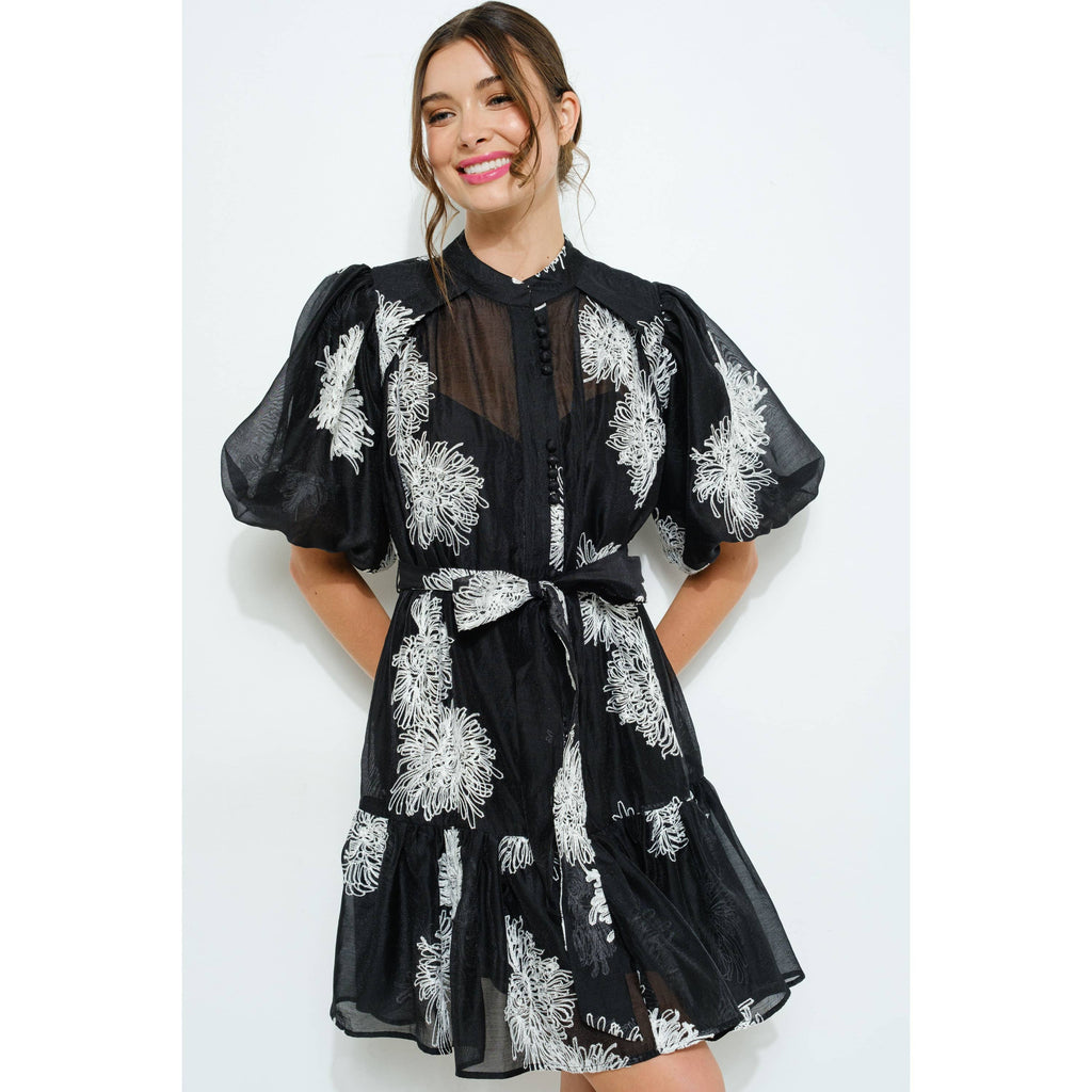 Embroidered Sheer Puff Sleeve Mini Dress