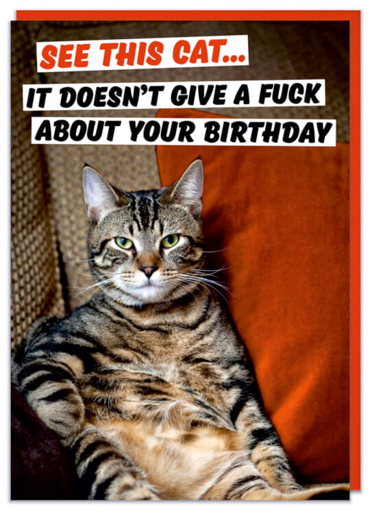 See This Cat Birthday Card