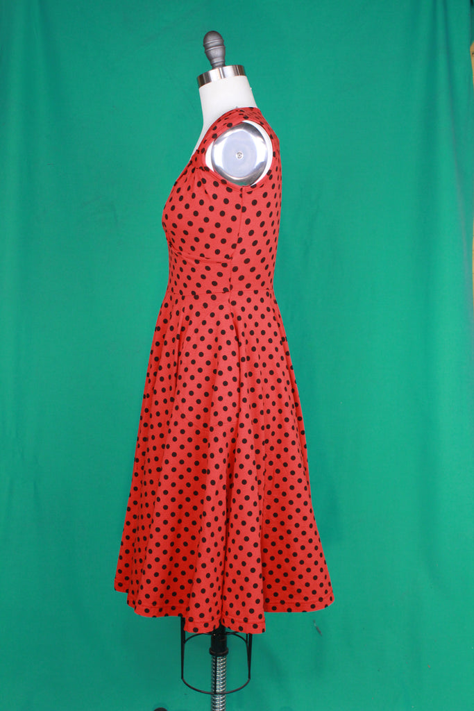 Ladybug Luck Ariel Dress