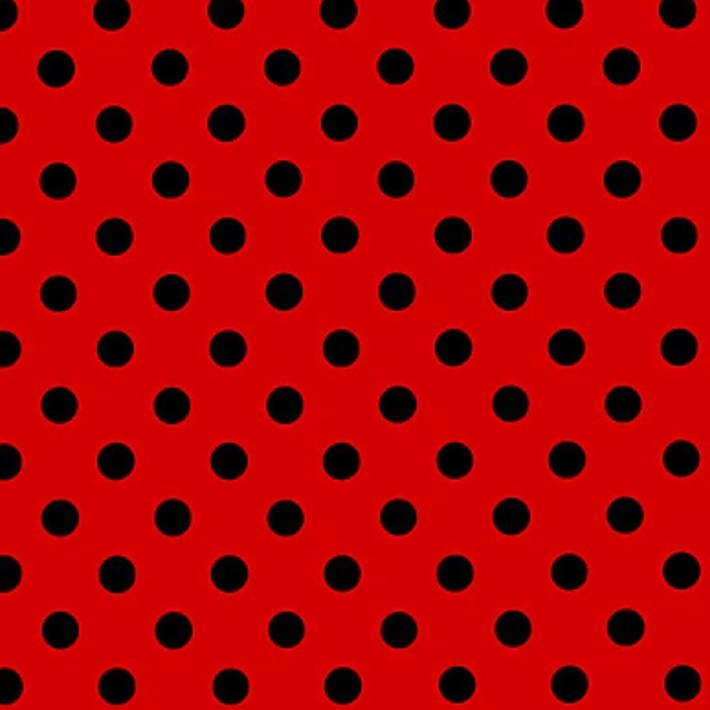 Ladybug Luck Ariel Dress