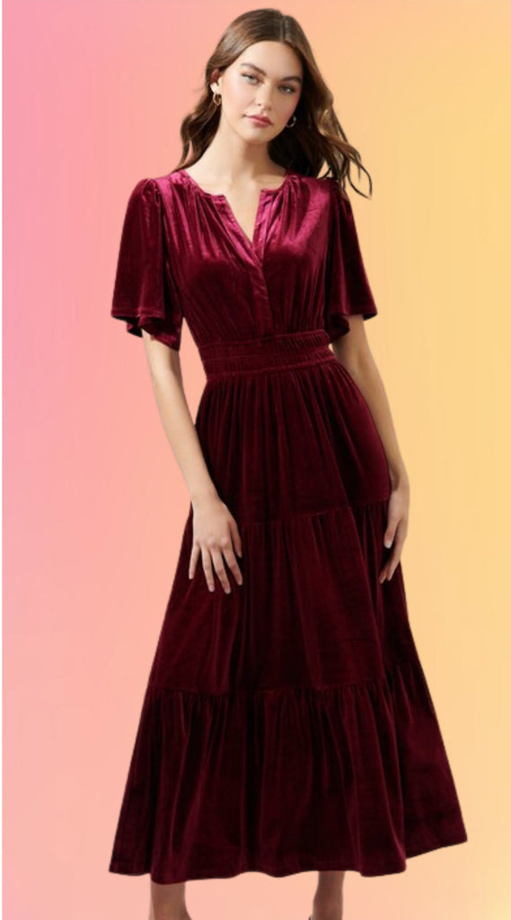 Merlot Velvet Maxi Dress