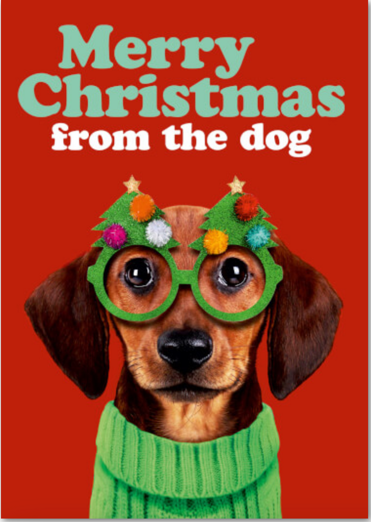 Merry Christmas From The Dog Card