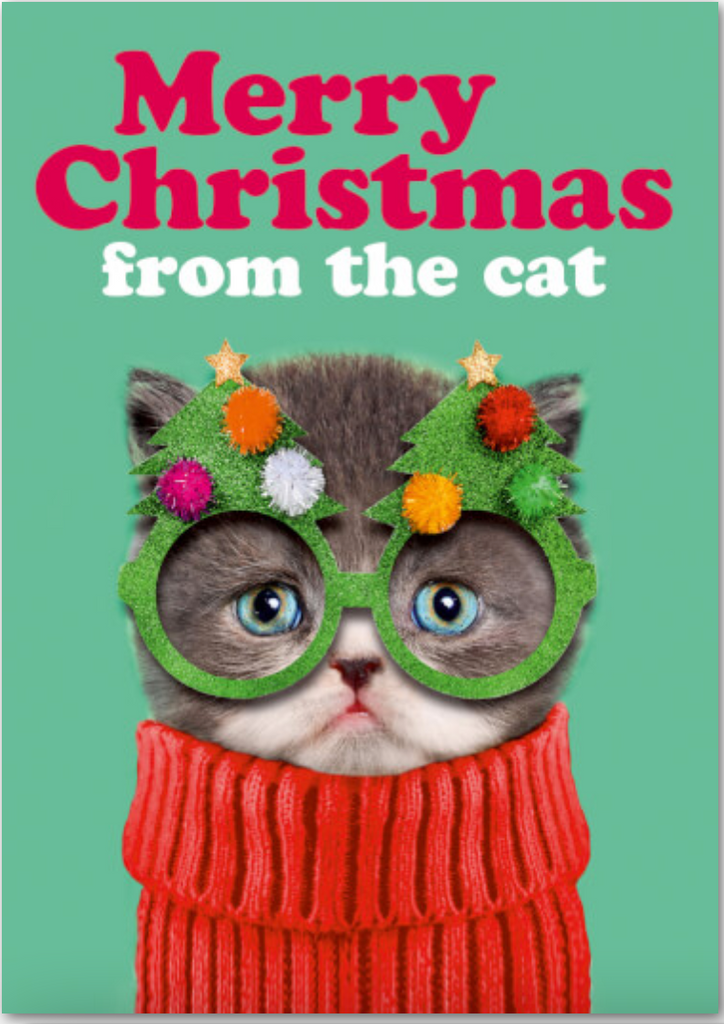 Merry Christmas From The Cat Card