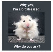 Bit Stressed Coaster