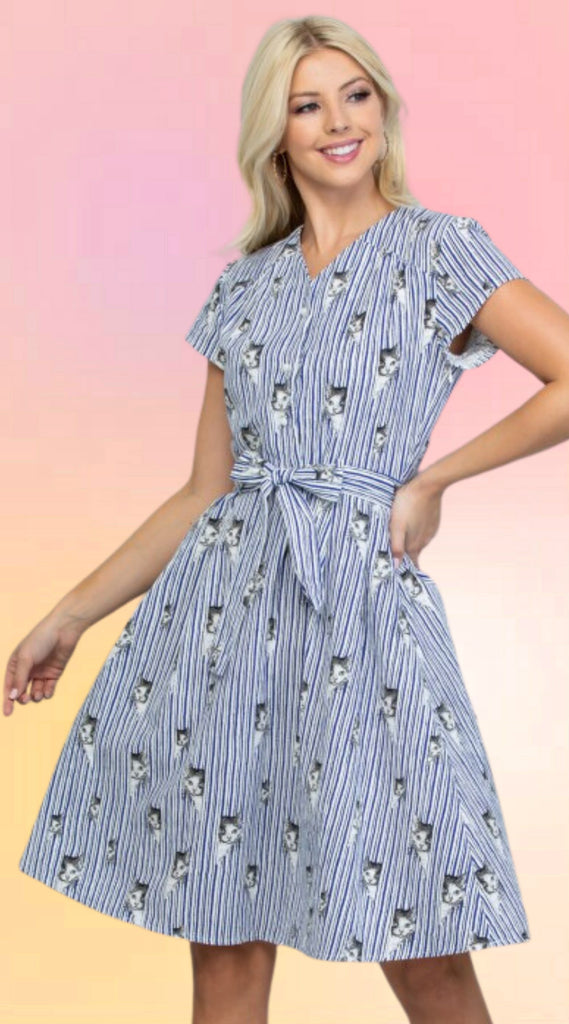 Banker Cats Mini Dress