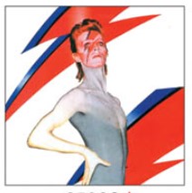 Bowie Lightning Coaster