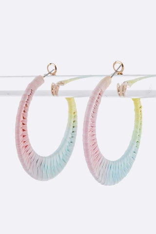 Rainbow Fringe Beaded Earrings