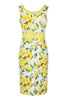 Freshly Squeezed Dress