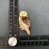 Acrylic Owl Brooch