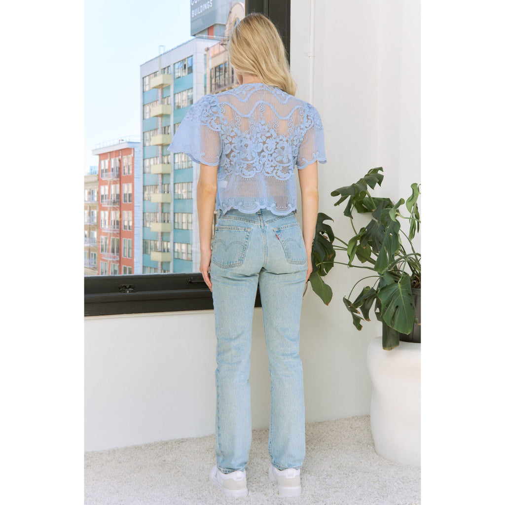 Embroidered Lace Sheer Blouse