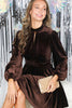 Chocolate Velvet Mini Dress