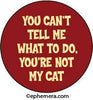 Pin Button: You can't tell me what