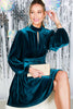 The Real Teal Luxe Velvet Dress