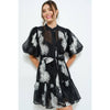 Embroidered Sheer Puff Sleeve Mini Dress
