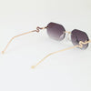 Snake Frame Gradient Sunglasses