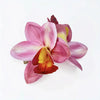 Silk Orchid Hair Clip: Red Pink