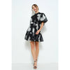 Embroidered Sheer Puff Sleeve Mini Dress