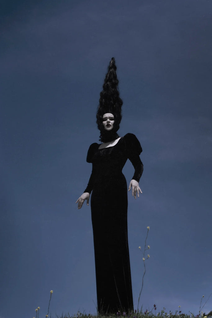 Howling Dress: Black Velvet
