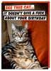 See This Cat Birthday Card