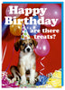 Happy Birthday Are There Any Treats? Card