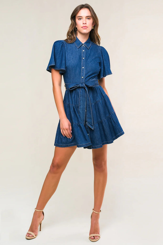Denim Darling Mini Dress