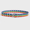 Rainbow Riveter Belt