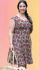 Shasta Daydream Dress