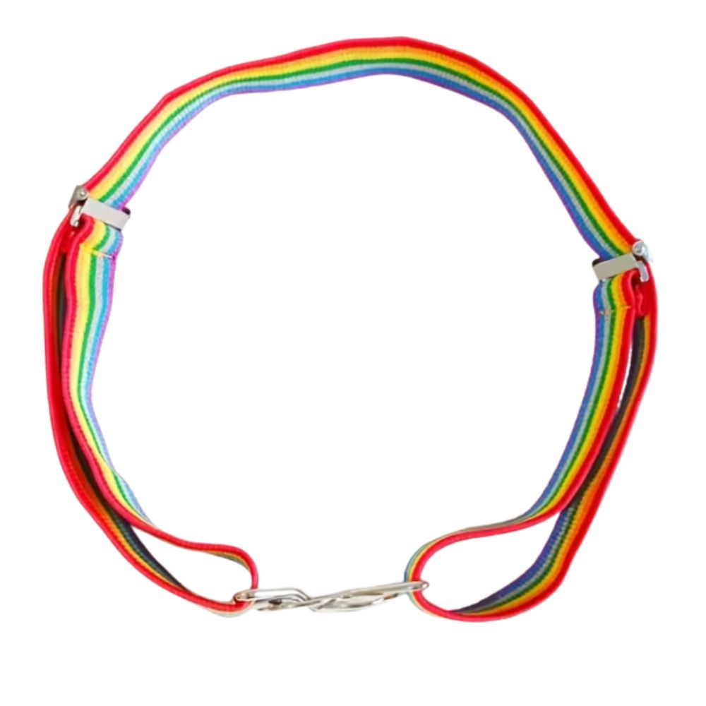 Retro Rainbow Stretch Belt