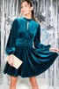 The Real Teal Luxe Velvet Dress