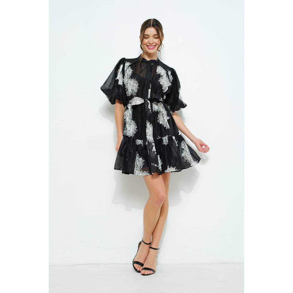 Embroidered Sheer Puff Sleeve Mini Dress