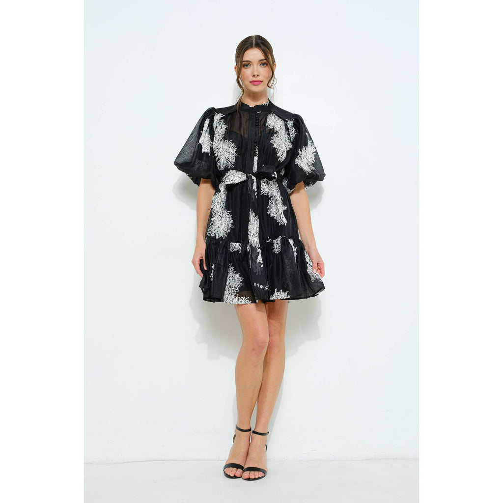 Embroidered Sheer Puff Sleeve Mini Dress