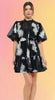 Embroidered Sheer Puff Sleeve Mini Dress