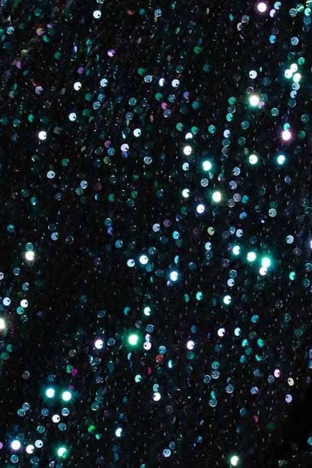 Sequin Crewneck Velvet Sweatshirt