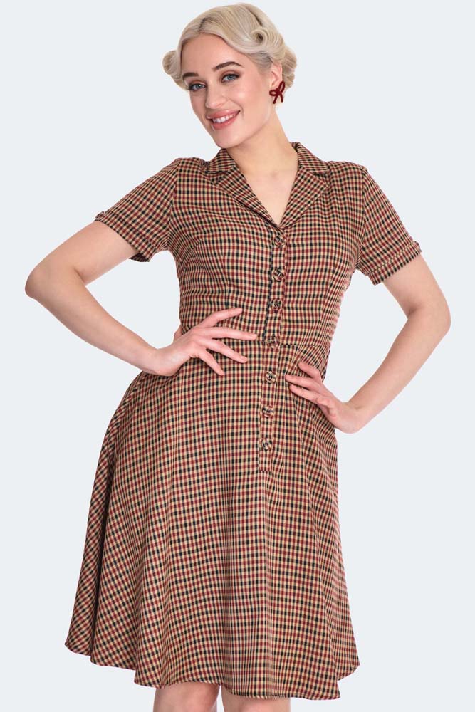 Check It Out Swing Dress