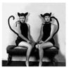 Two Cat Ladies Coaster