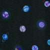 Planet Janet Swing Dress
